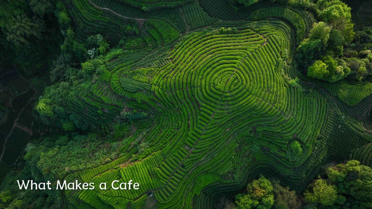 What Makes a Cafe