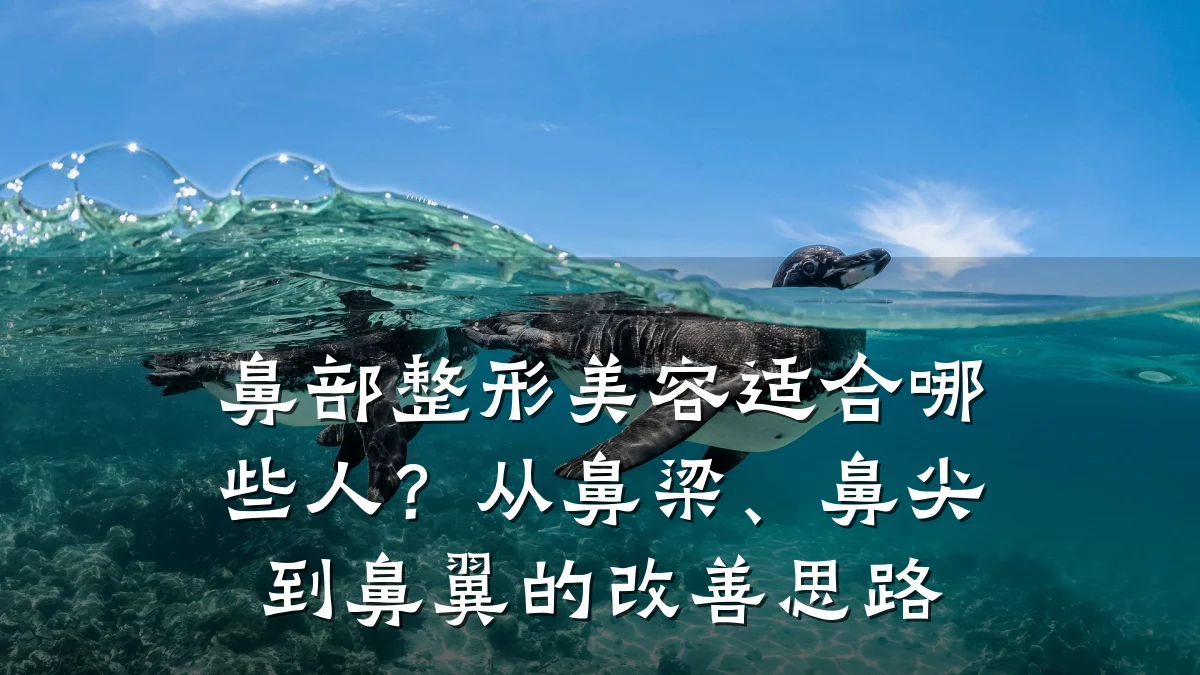 鼻部整形美容适合哪些人?从鼻梁、鼻尖到鼻翼的改善思路