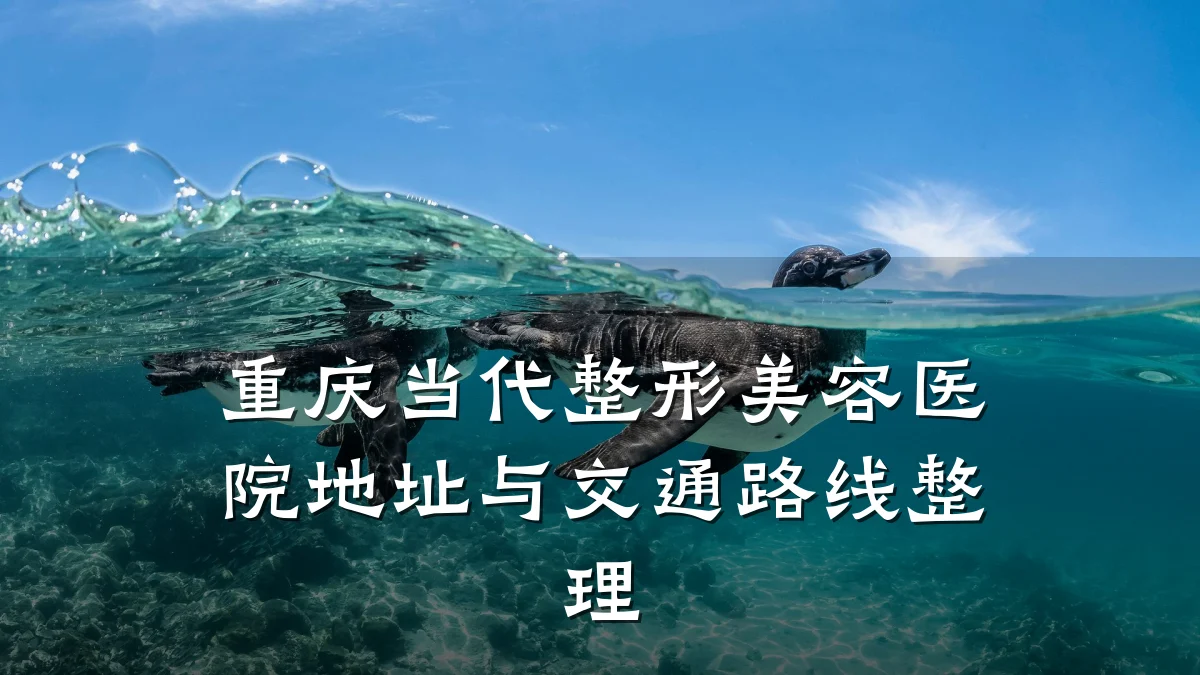 重庆当代整形美容医院地址与交通路线整理