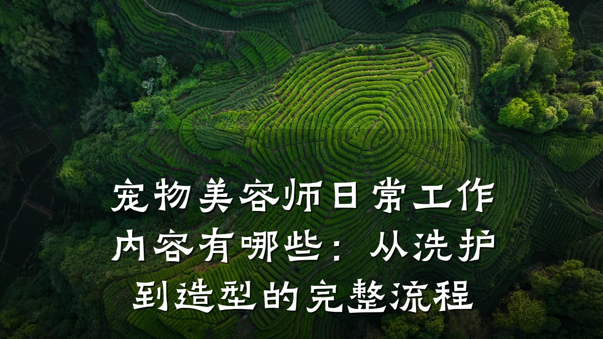 宠物美容师日常工作内容有哪些:从洗护到造型的完整流程