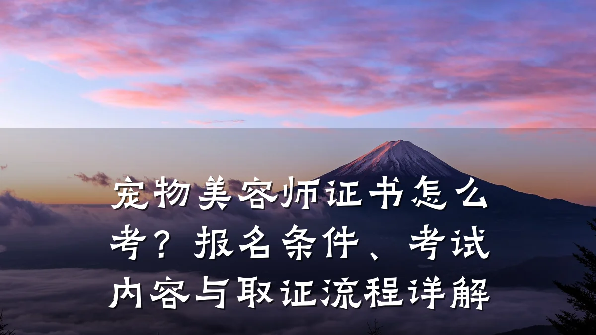 宠物美容师证书怎么考?报名条件、考试内容与取证流程详解