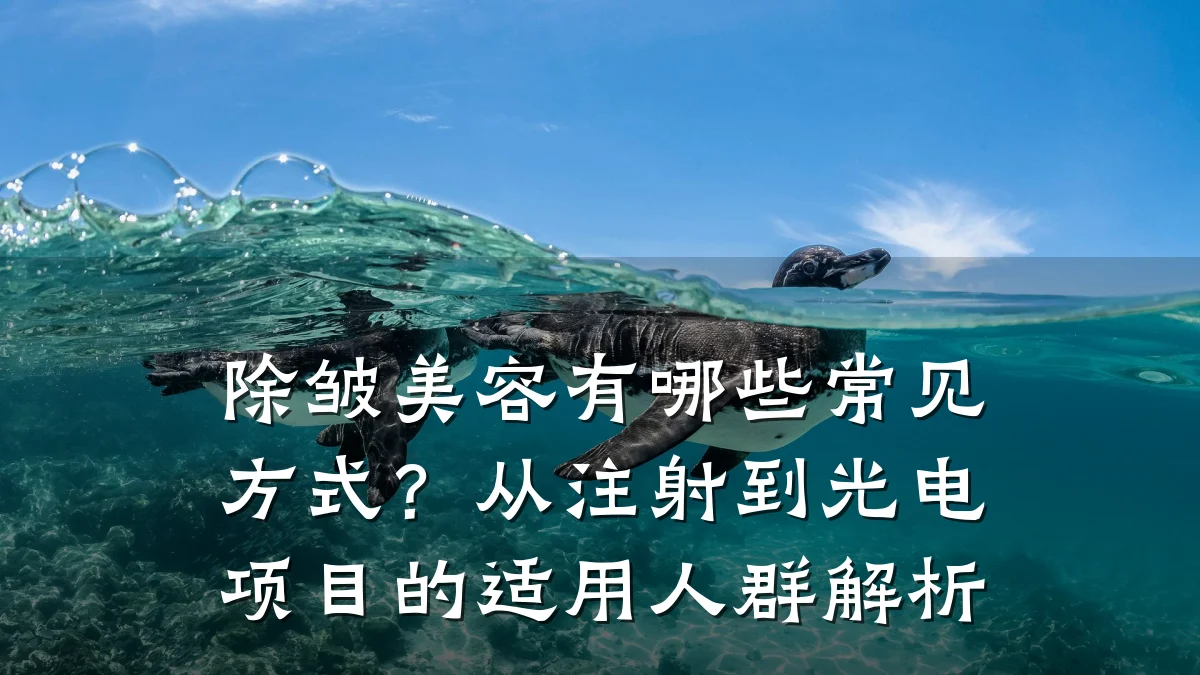 除皱美容有哪些常见方式?从注射到光电项目的适用人群解析