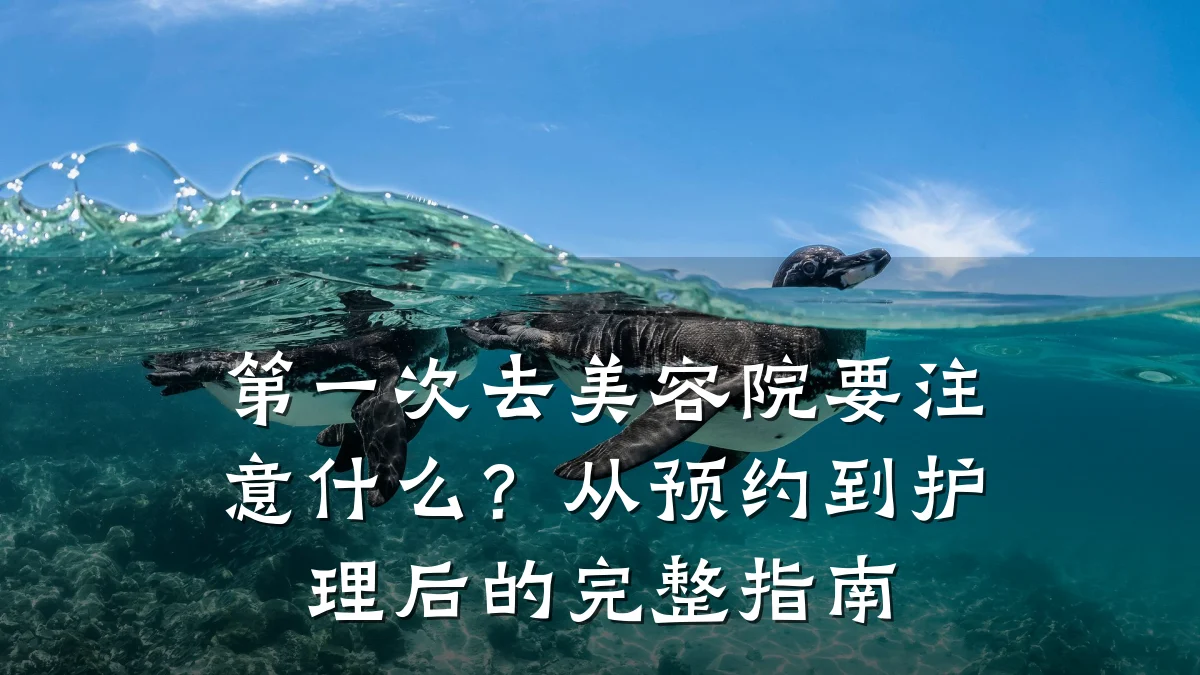 第一次去美容院要注意什么?从预约到护理后的完整指南