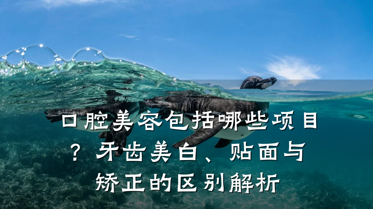 口腔美容包括哪些项目?牙齿美白、贴面与矫正的区别解析