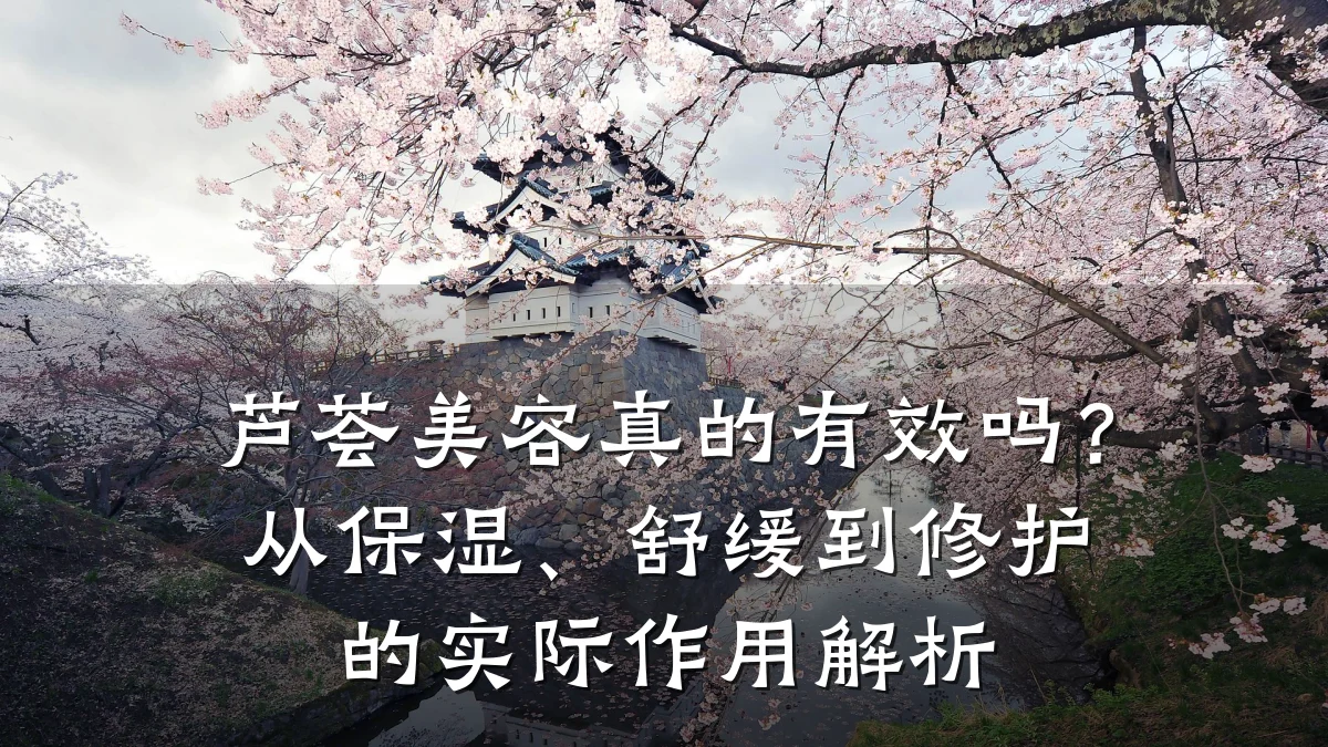 芦荟美容真的有效吗?从保湿、舒缓到修护的实际作用解析