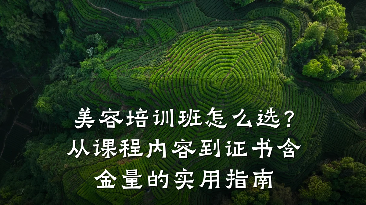 美容培训班怎么选?从课程内容到证书含金量的实用指南
