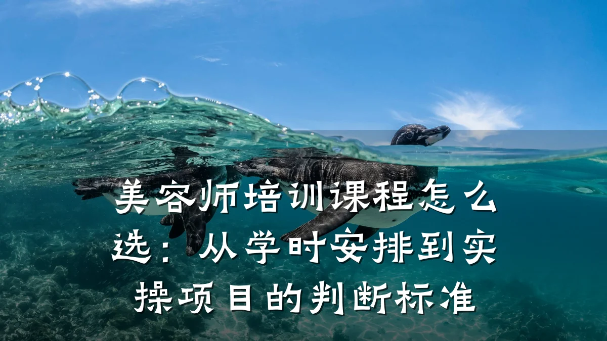 美容师培训课程怎么选:从学时安排到实操项目的判断标准