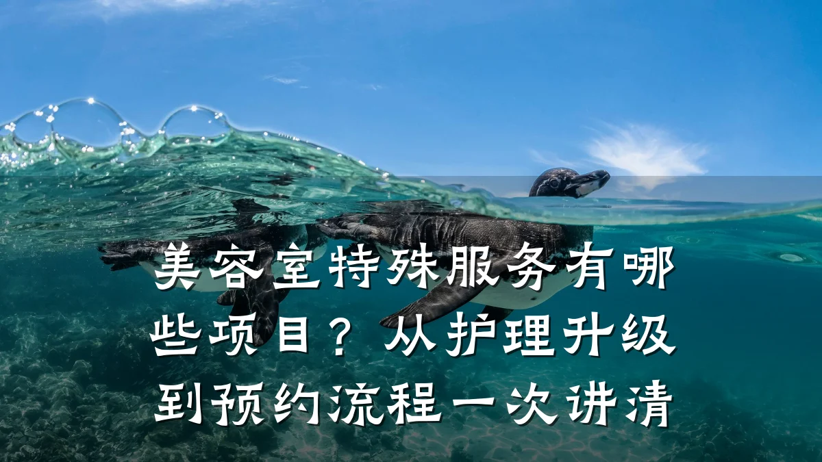 美容室特殊服务有哪些项目?从护理升级到预约流程一次讲清
