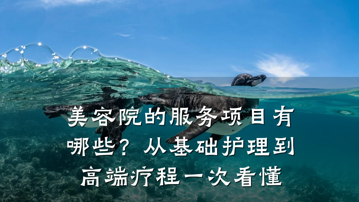 美容院的服务项目有哪些?从基础护理到高端疗程一次看懂