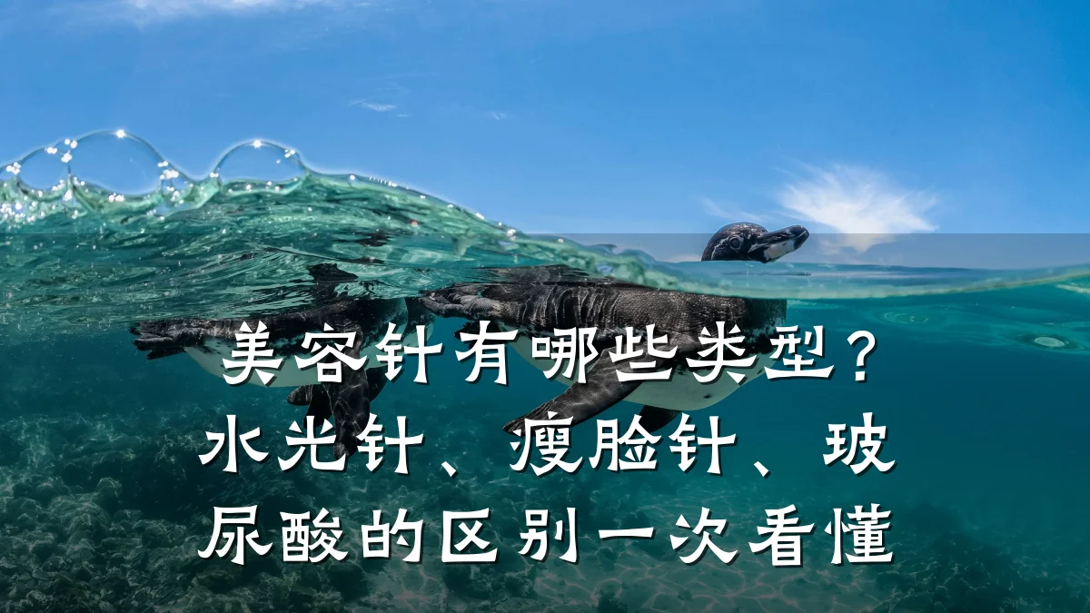 美容针有哪些类型?水光针、瘦脸针、玻尿酸的区别一次看懂
