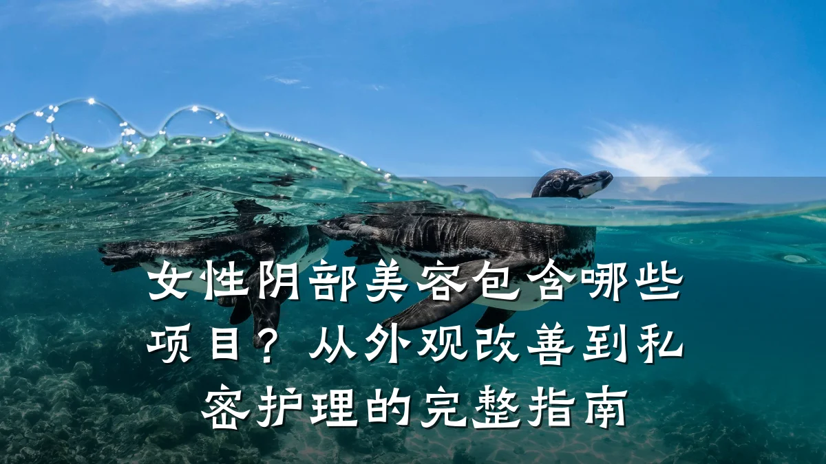 女性阴部美容包含哪些项目?从外观改善到私密护理的完整指南