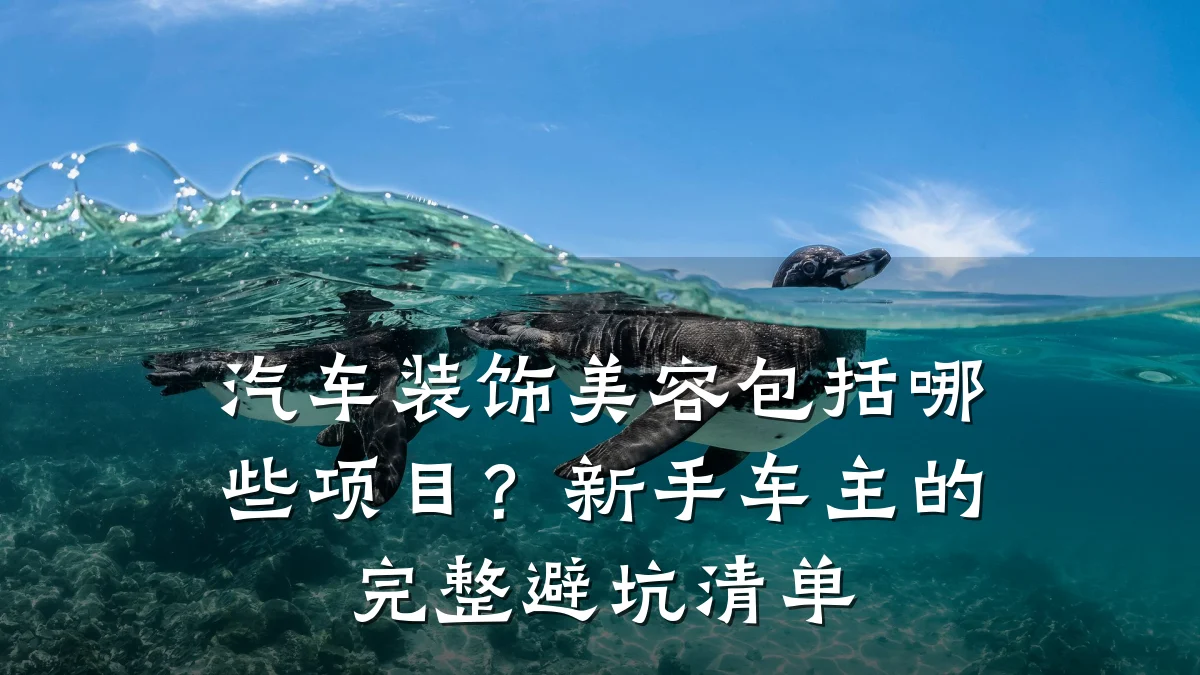 汽车装饰美容包括哪些项目?新手车主的完整避坑清单