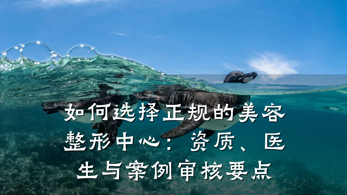 如何选择正规的美容整形中心：资质、医生与案例审核要点