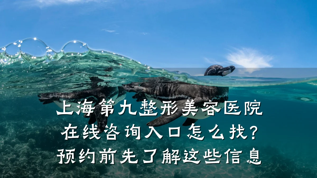 上海第九整形美容医院在线咨询入口怎么找?预约前先了解这些信息