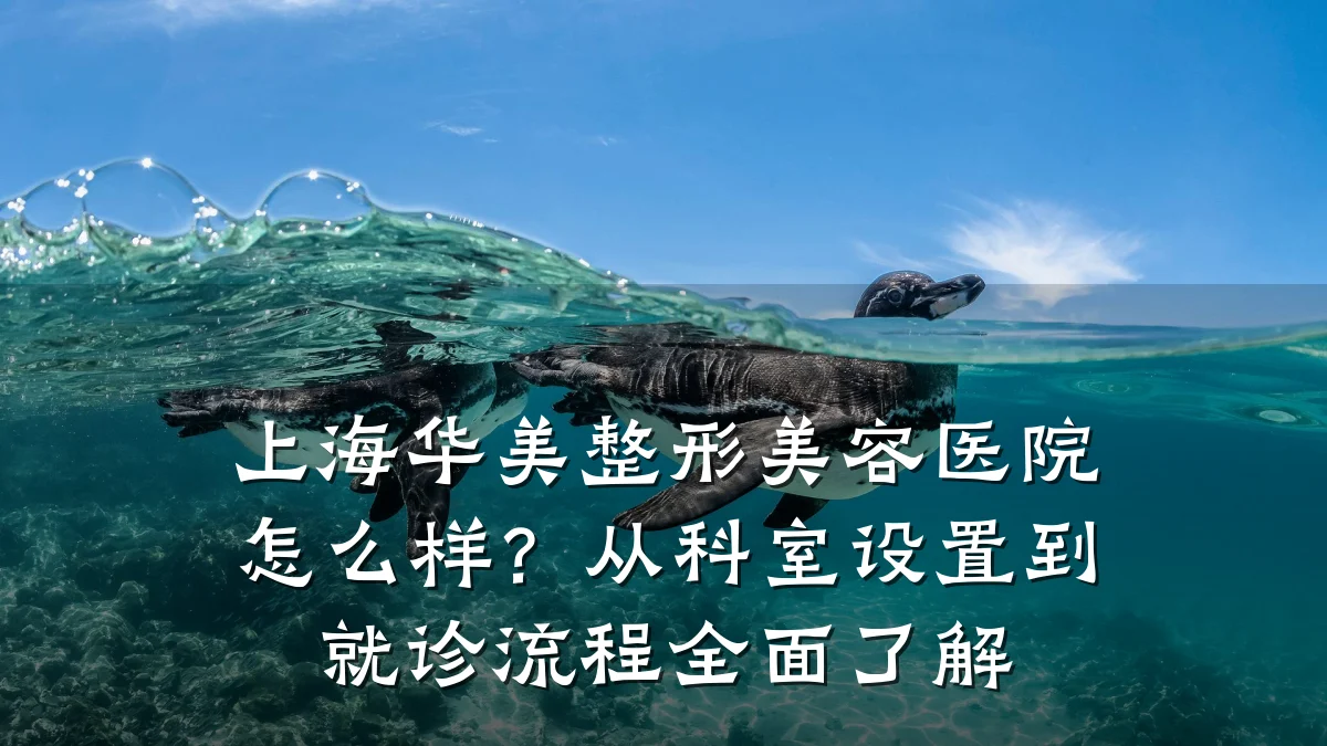 上海华美整形美容医院怎么样？从科室设置到就诊流程全面了解