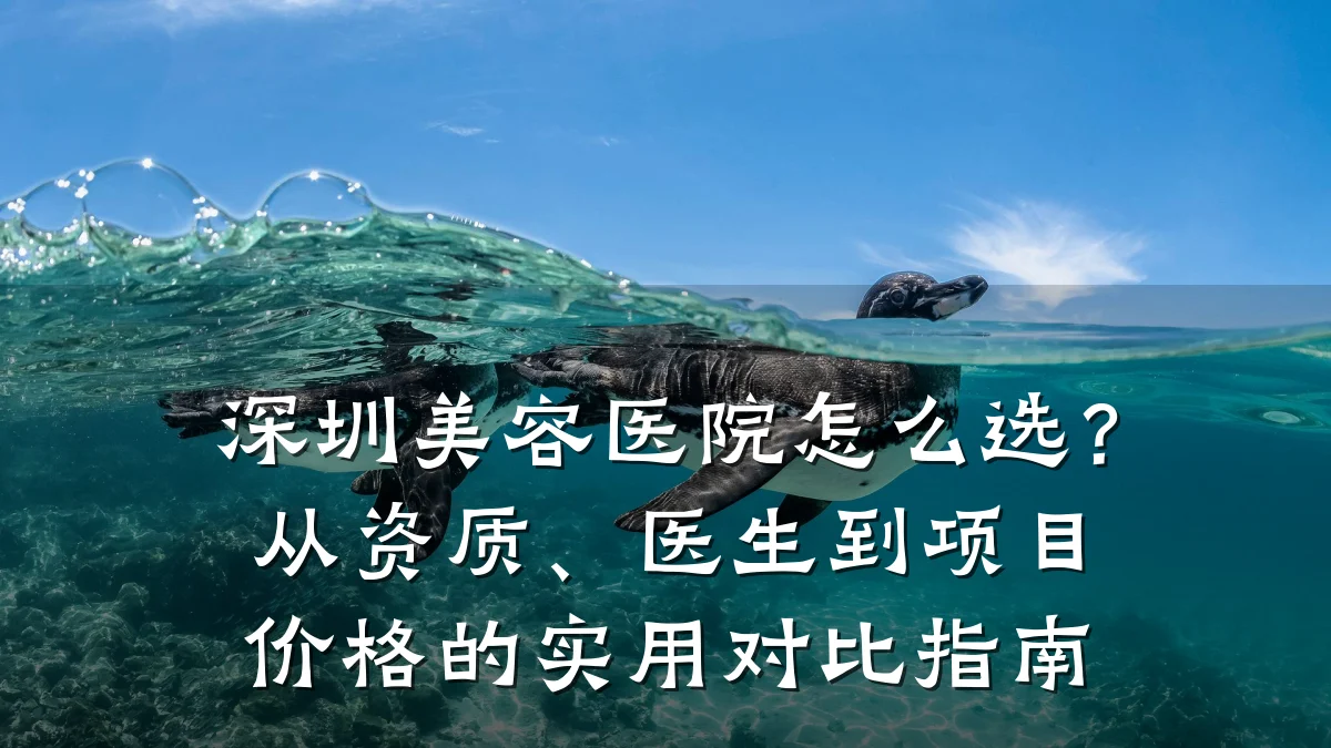深圳美容医院怎么选?从资质、医生到项目价格的实用对比指南