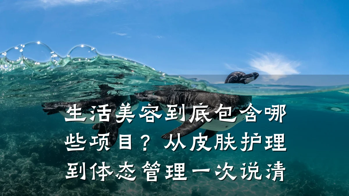生活美容到底包含哪些项目?从皮肤护理到体态管理一次说清