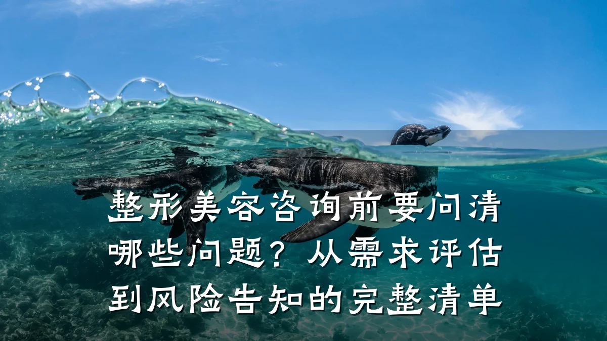 整形美容咨询前要问清哪些问题?从需求评估到风险告知的完整清单