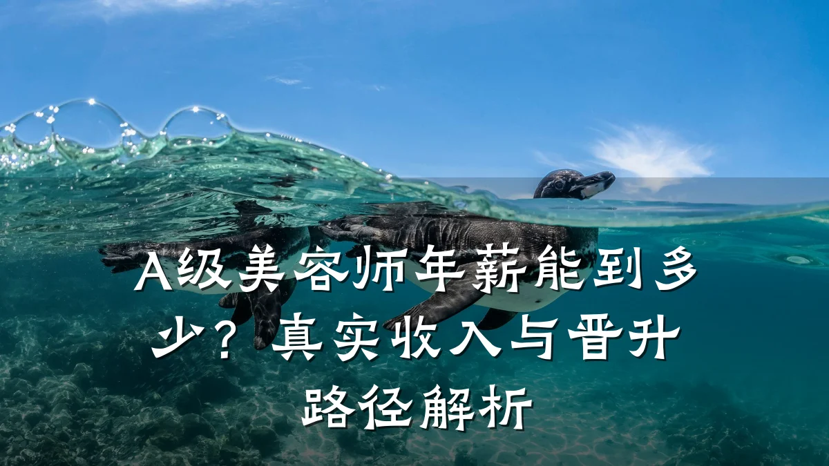 A级美容师年薪能到多少?真实收入与晋升路径解析