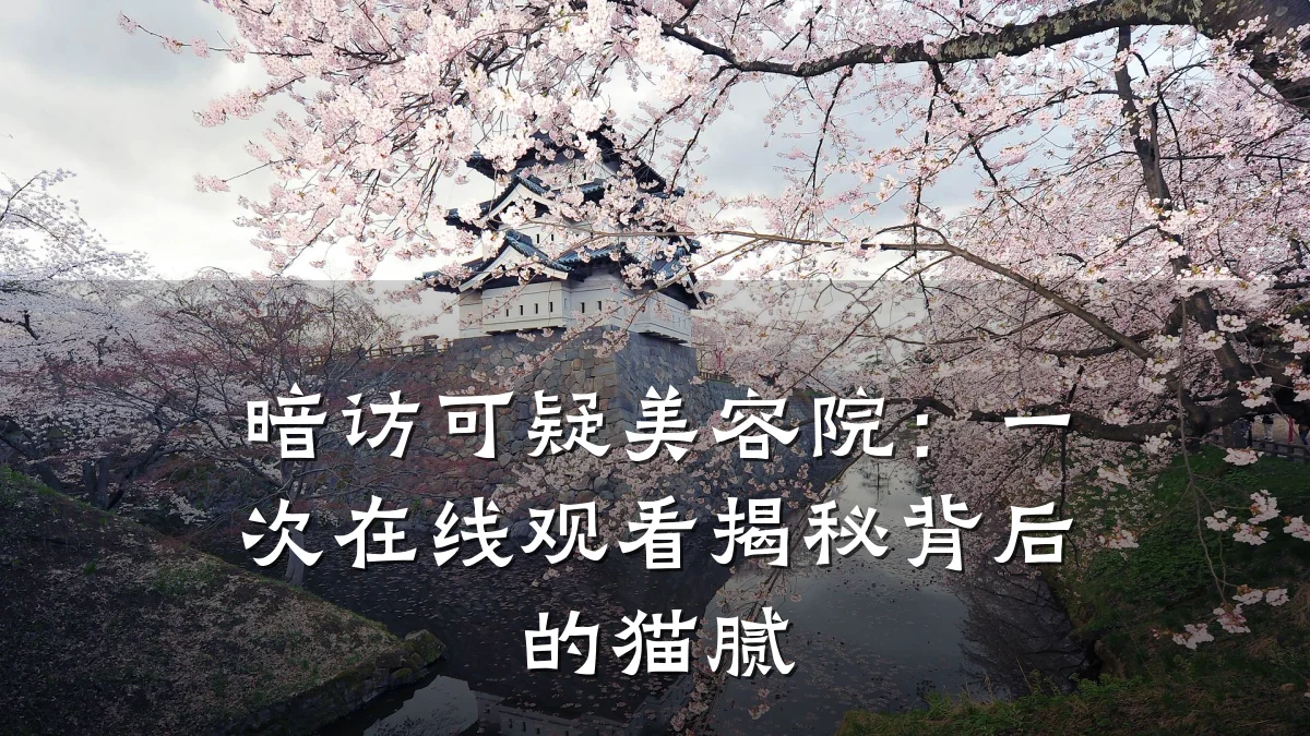 暗访可疑美容院：一次在线观看揭秘背后的猫腻