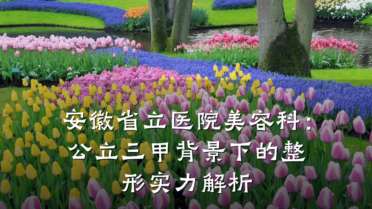 安徽省立医院美容科:公立三甲背景下的整形实力解析