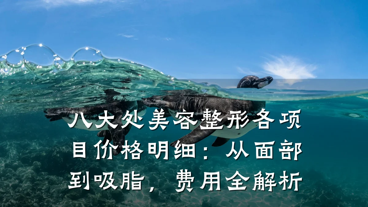 八大处美容整形各项目价格明细:从面部到吸脂,费用全解析