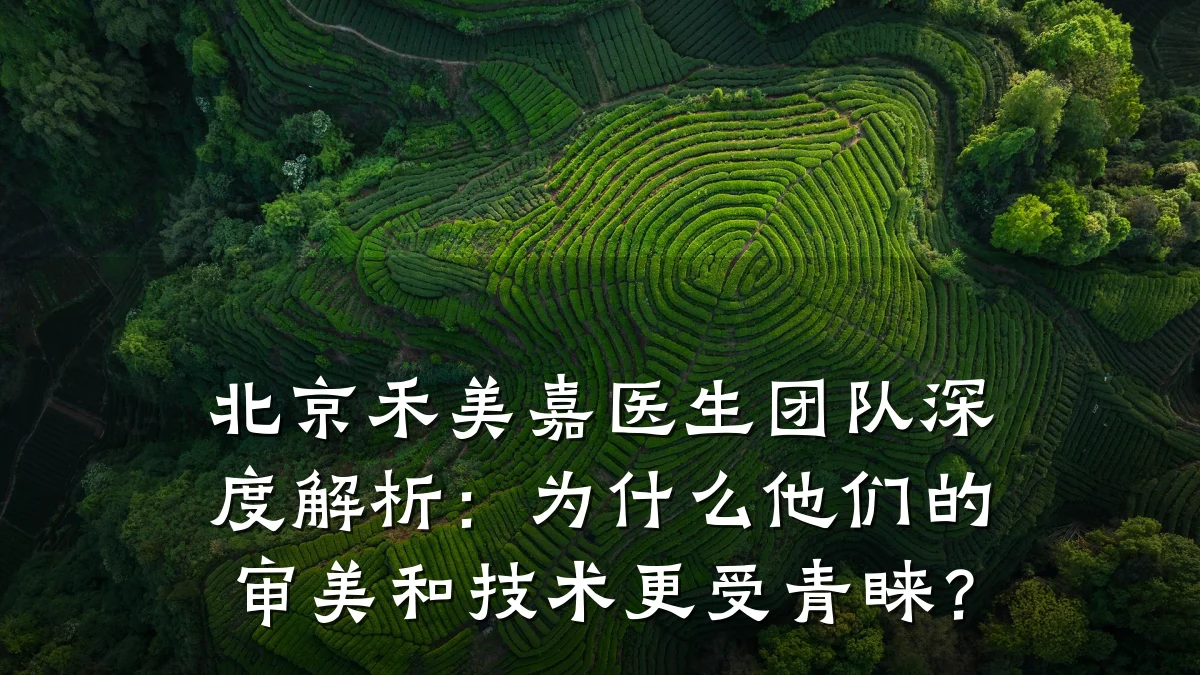 北京禾美嘉医生团队深度解析：为什么他们的审美和技术更受青睐？