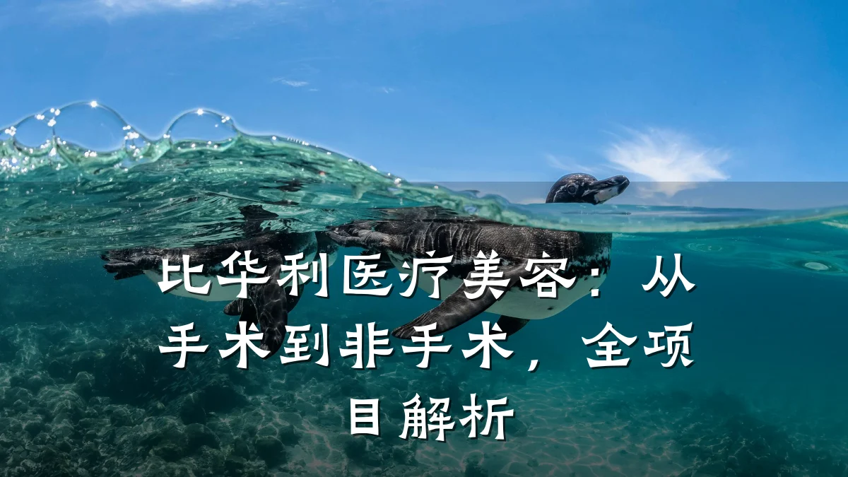 比华利医疗美容:从手术到非手术,全项目解析