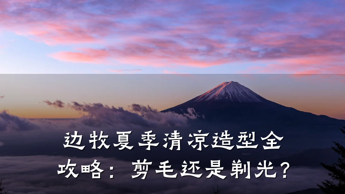 边牧夏季清凉造型全攻略:剪毛还是剃光?