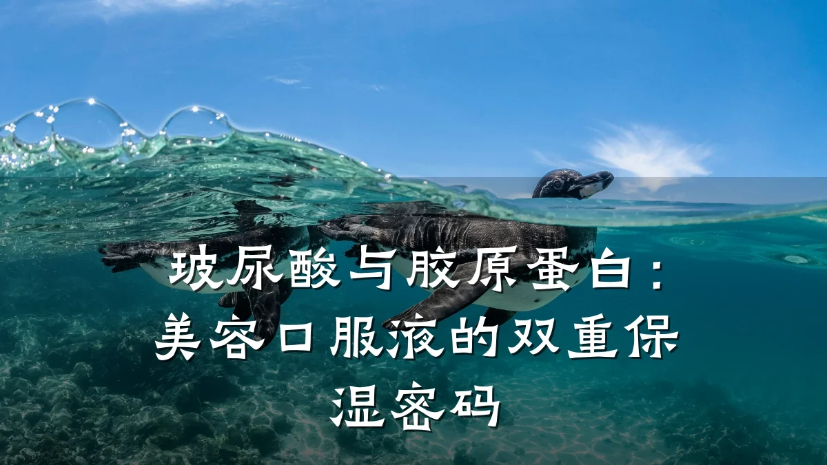 玻尿酸与胶原蛋白:美容口服液的双重保湿密码