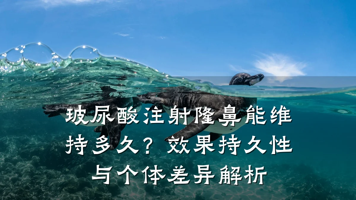 玻尿酸注射隆鼻能维持多久?效果持久性与个体差异解析