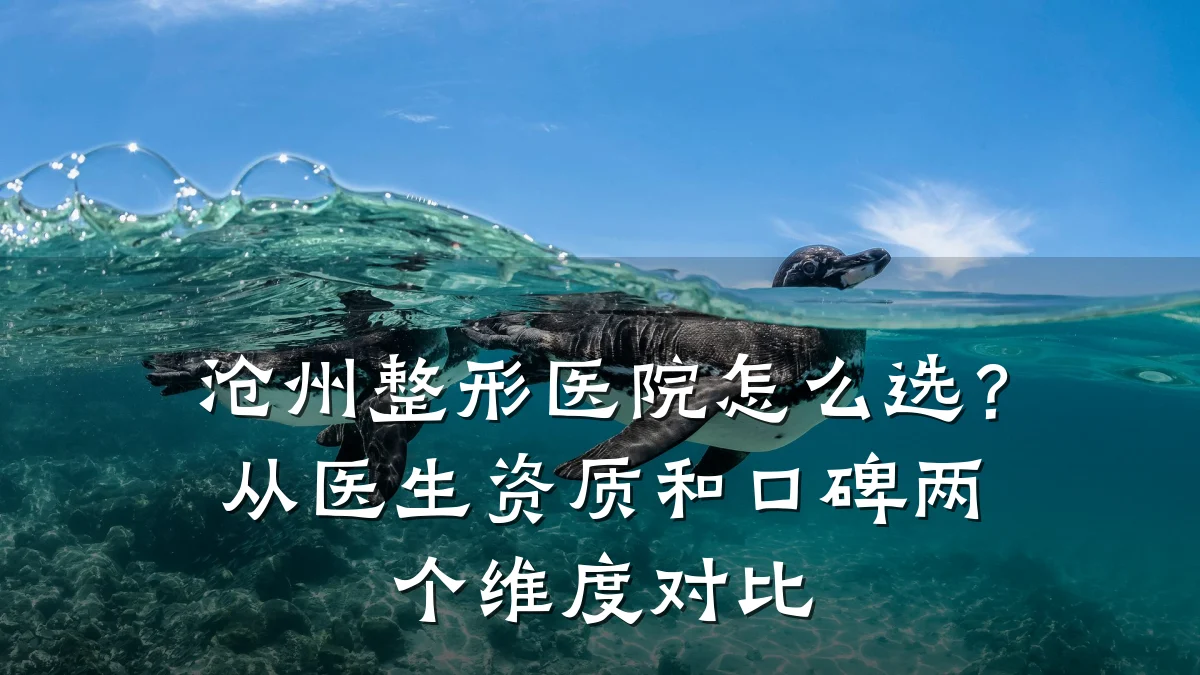 沧州整形医院怎么选?从医生资质和口碑两个维度对比