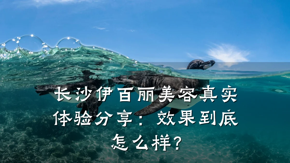 长沙伊百丽美容真实体验分享:效果到底怎么样?
