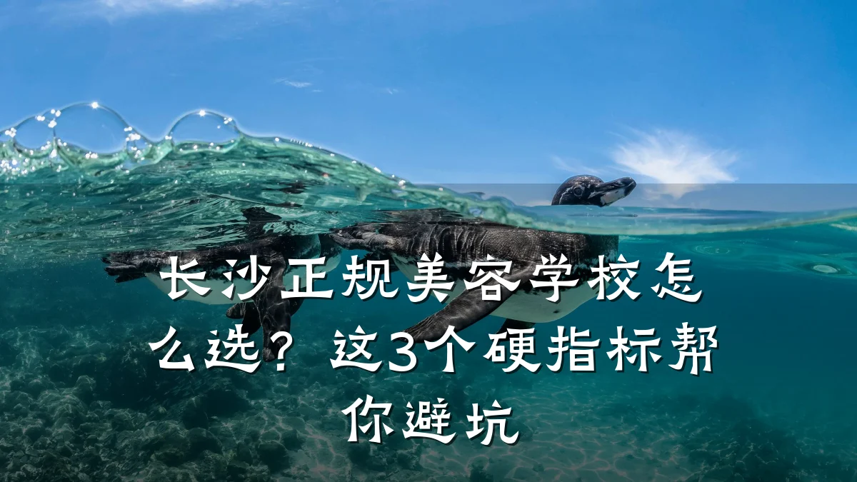 长沙正规美容学校怎么选?这3个硬指标帮你避坑