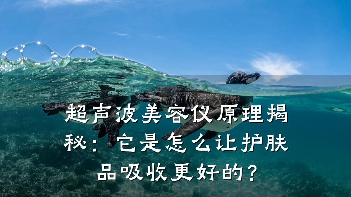 超声波美容仪原理揭秘：它是怎么让护肤品吸收更好的？