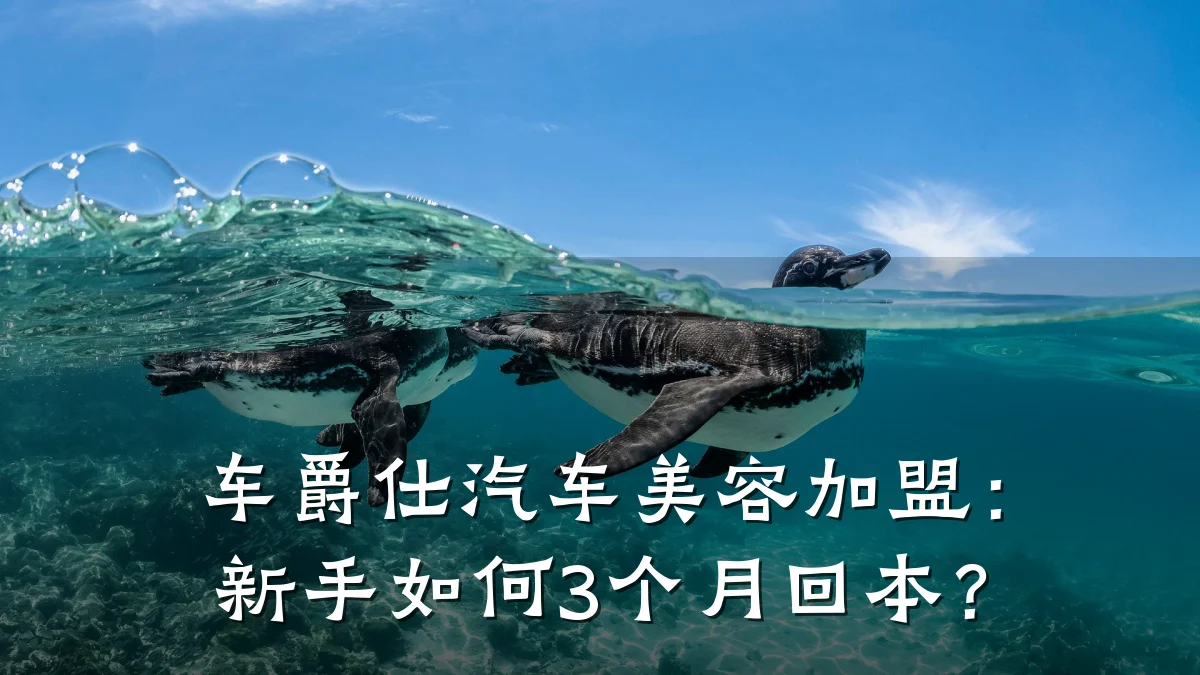 车爵仕汽车美容加盟:新手如何3个月回本?