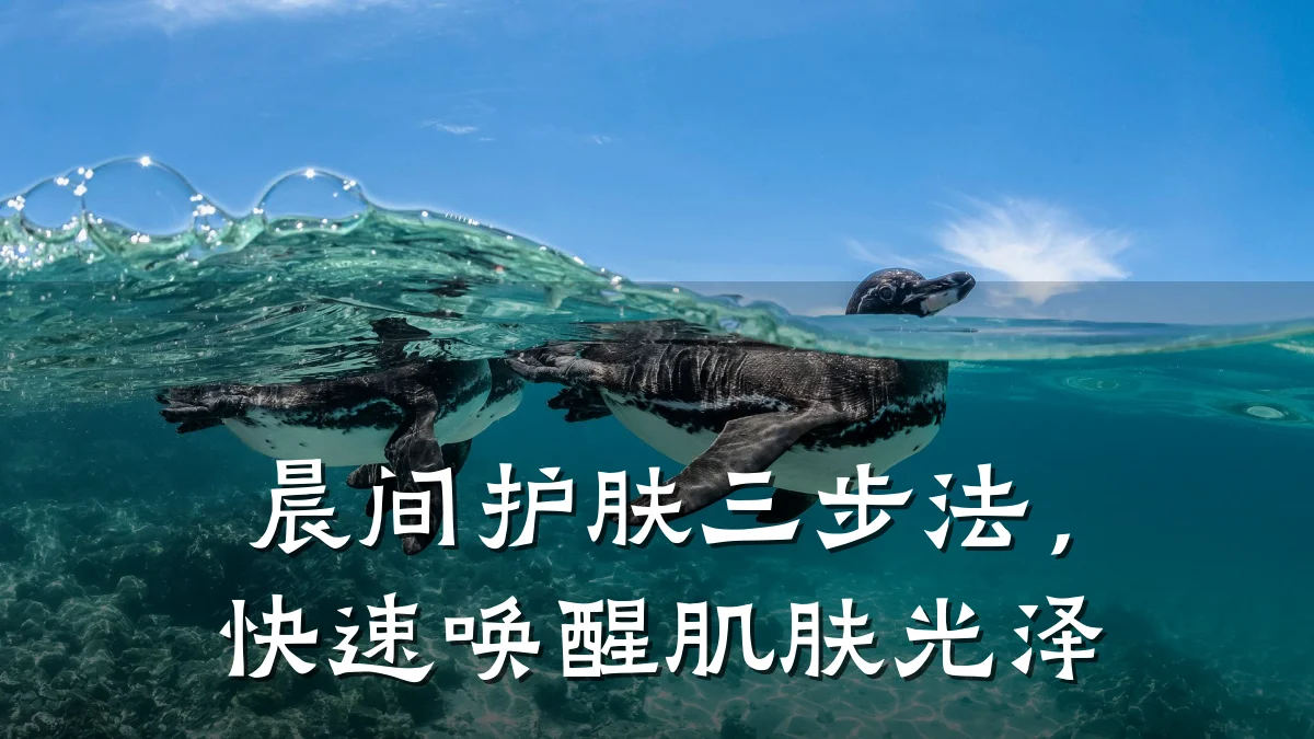 晨间护肤三步法,快速唤醒肌肤光泽