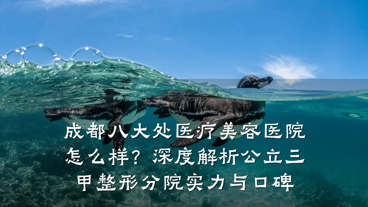 成都八大处医疗美容医院怎么样?深度解析公立三甲整形分院实力与口碑