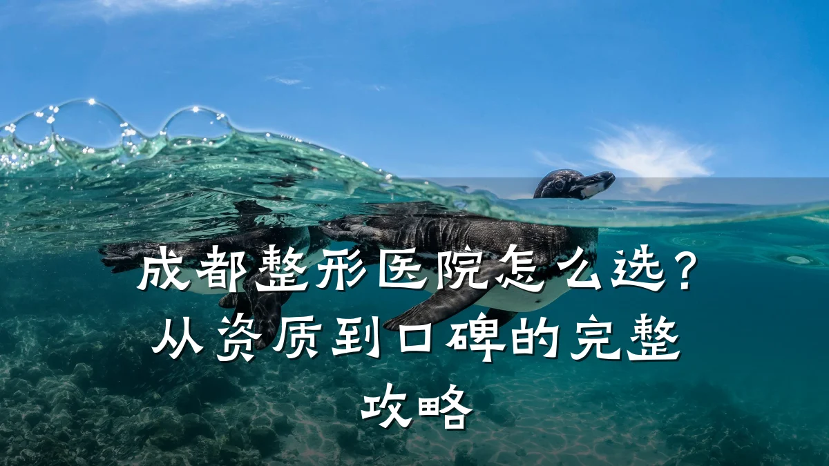 成都整形医院怎么选？从资质到口碑的完整攻略