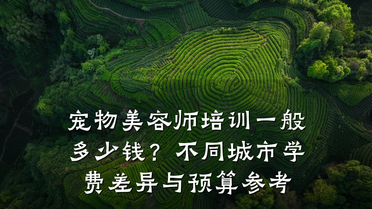 宠物美容师培训一般多少钱?不同城市学费差异与预算参考