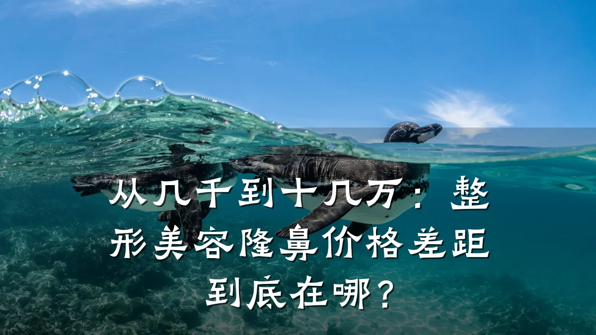 从几千到十几万:整形美容隆鼻价格差距到底在哪?