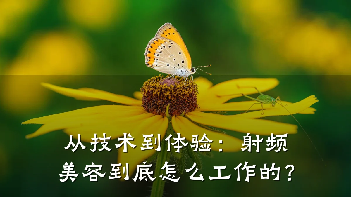 从技术到体验:射频美容到底怎么工作的?