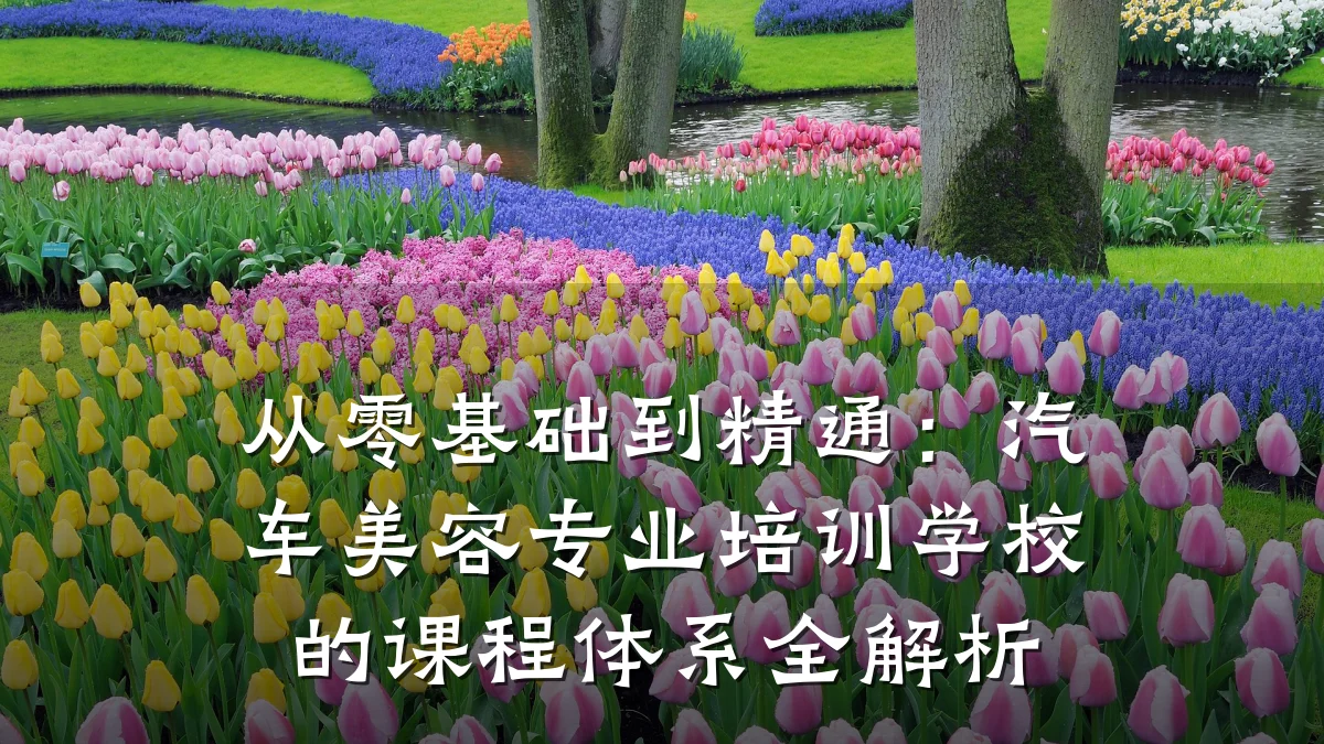 从零基础到精通:汽车美容专业培训学校的课程体系全解析