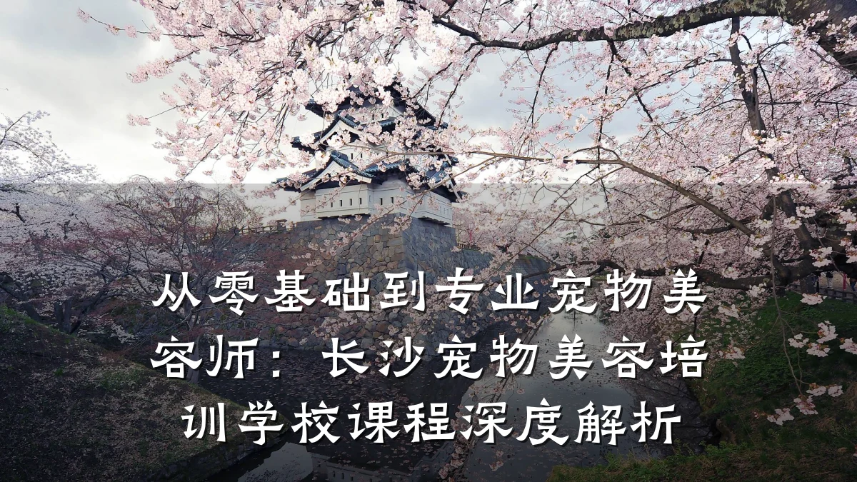 从零基础到专业宠物美容师：长沙宠物美容培训学校课程深度解析
