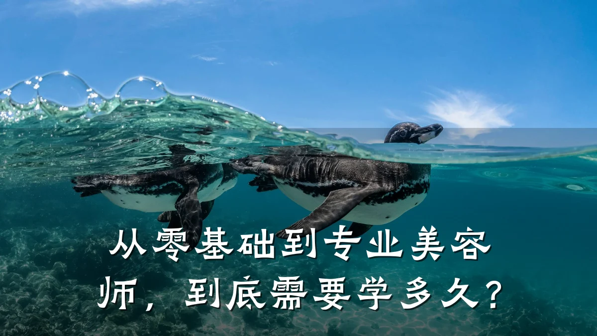 从零基础到专业美容师,到底需要学多久?