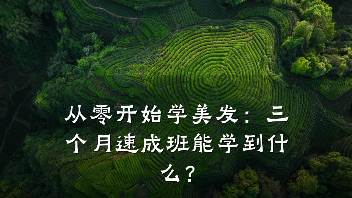 从零开始学美发:三个月速成班能学到什么?