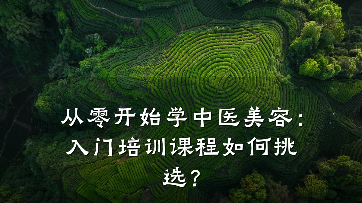 从零开始学中医美容:入门培训课程如何挑选?