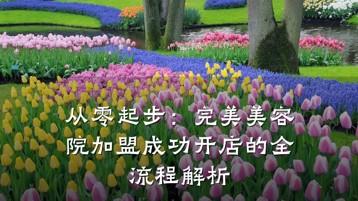 从零起步:完美美容院加盟成功开店的全流程解析