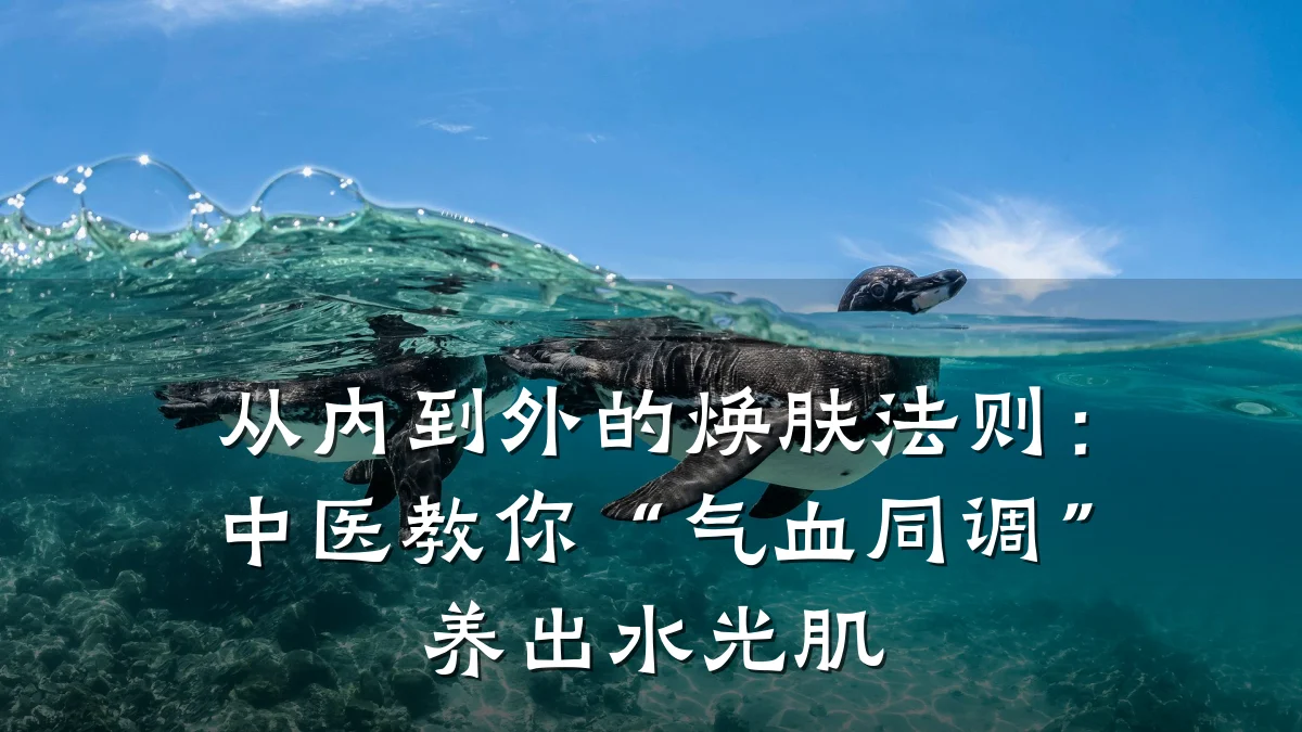 从内到外的焕肤法则:中医教你“气血同调”养出水光肌