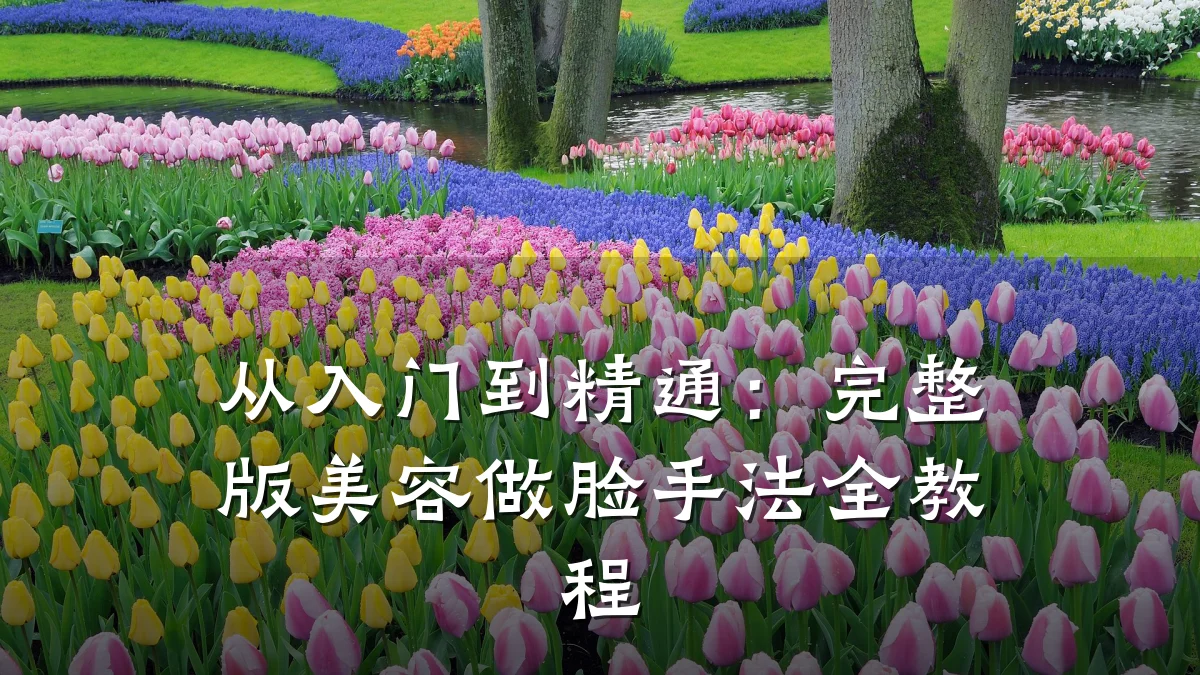 从入门到精通:完整版美容做脸手法全教程